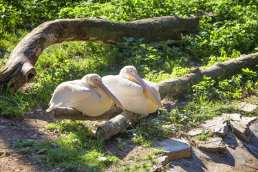 Similar image 21216391