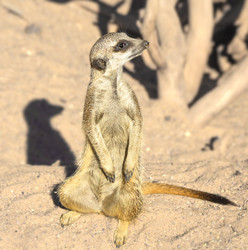 Similar image 21216392