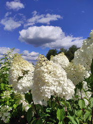 Similar image 21240488