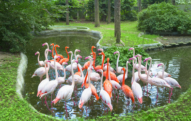 Similar image 21216395