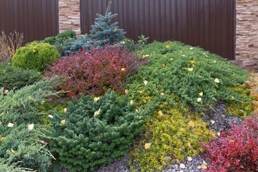 Similar image 21213830