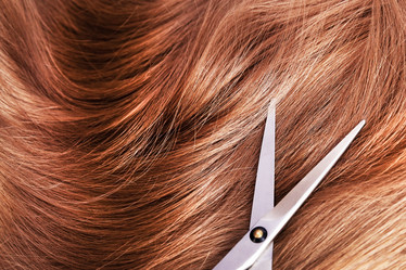 Similar image 21213831