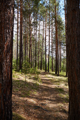 Similar image 21215220