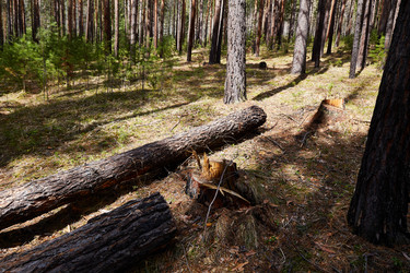 Similar image 21215223