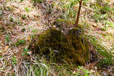 Similar image 21215227