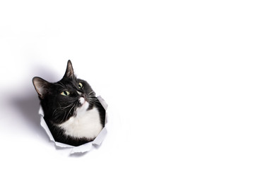 Similar image 21226343