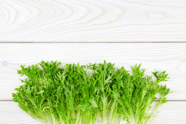 Similar image 21228584