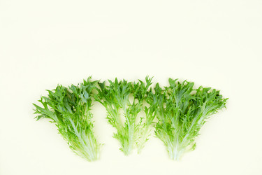 Similar image 21225983