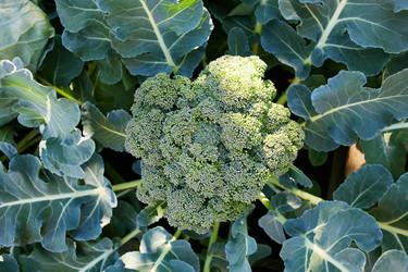 Similar image 21215235