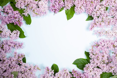 Similar image 21226043