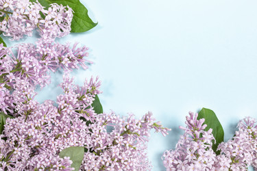 Similar image 21226044