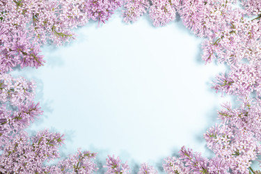 Similar image 21226045