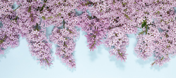 Similar image 21226046