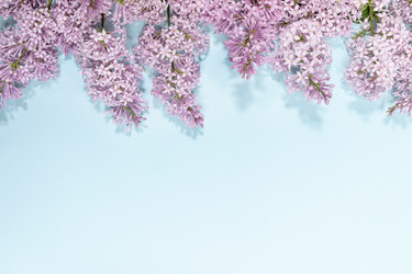 Similar image 21226047