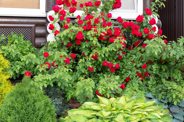 Similar image 21213839