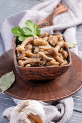 Similar image 21226360