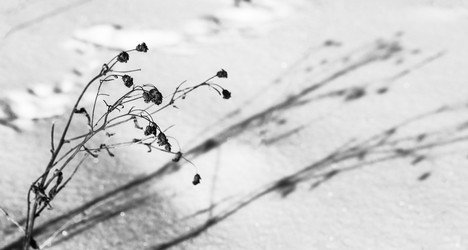 Similar image 21237618