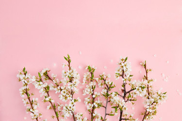 Similar image 21213628