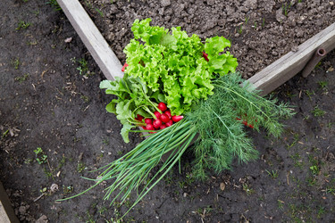 Similar image 21213643