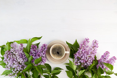 Similar image 21213645