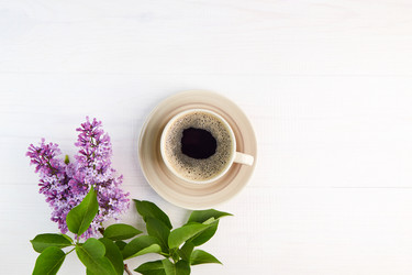 Similar image 21213646