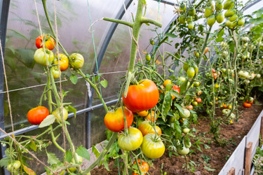 Similar image 21213651