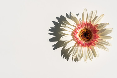 Similar image 21213654