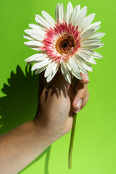 Similar image 21213655