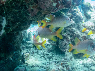 Similar image 21213656