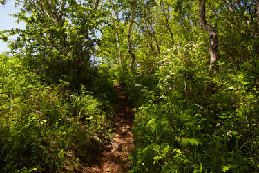 Similar image 21225929