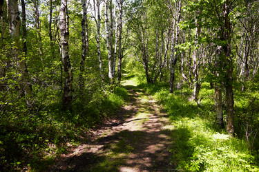 Similar image 21214781