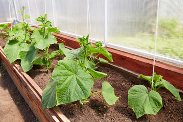 Similar image 21214782