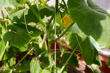 Similar image 21213661