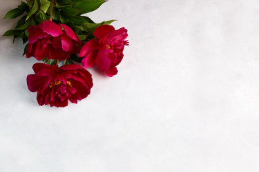 Similar image 21213662