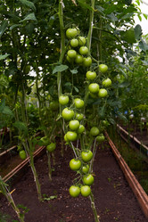 Similar image 21215243