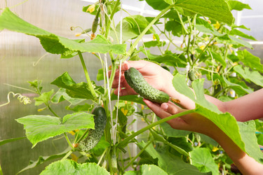 Similar image 21215244