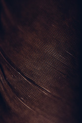 Similar image 21223492