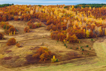 Similar image 21223558