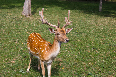 Similar image 21215960