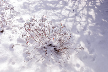 Similar image 21237623