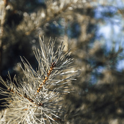 Similar image 21237628