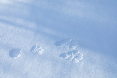 Similar image 21237630