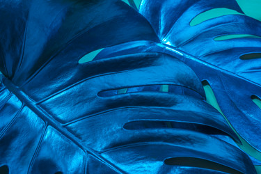 Similar image 21226396