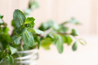 Similar image 21226430