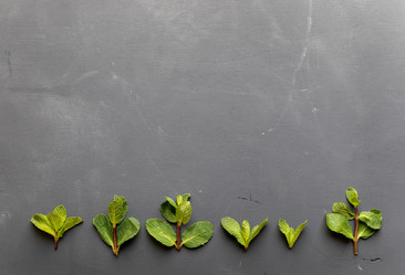 Similar image 21226436