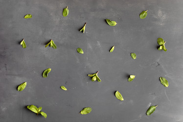 Similar image 21226440