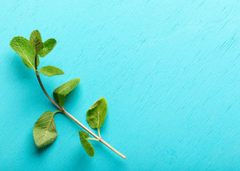 Similar image 21226450