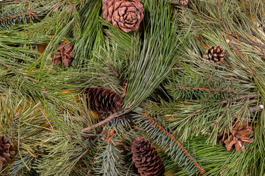 Similar image 21226064