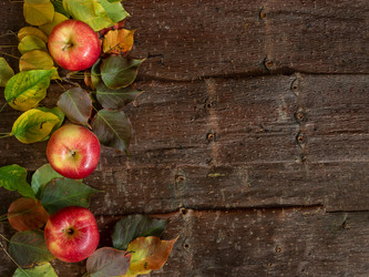 Similar image 21226077