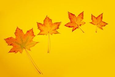 Similar image 21226080